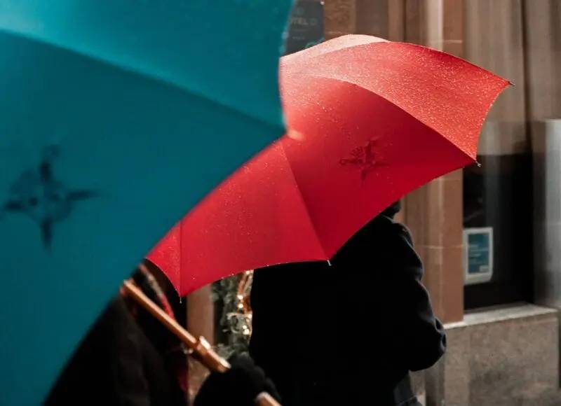 Le Parapluie de Cherbourg